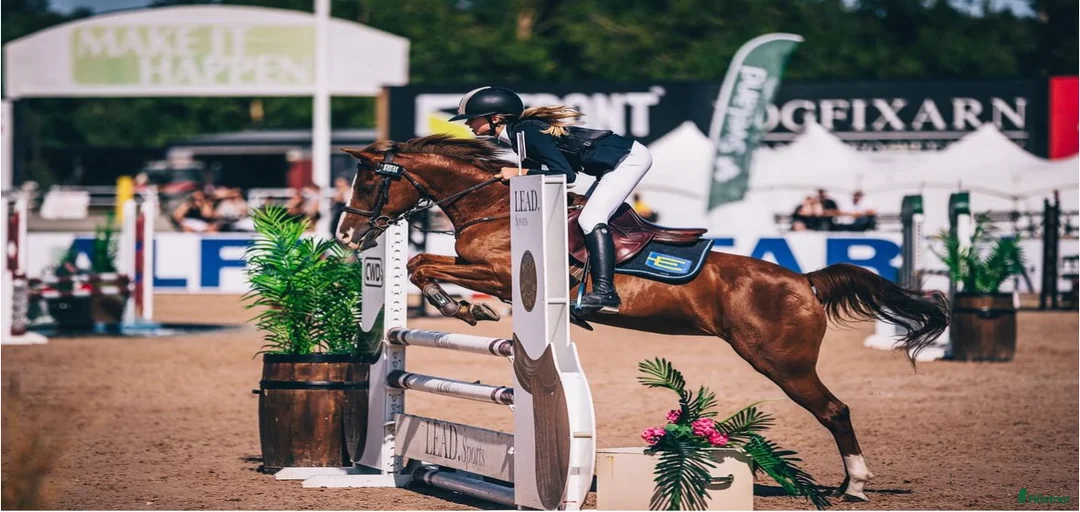 Galleribild {{count}}