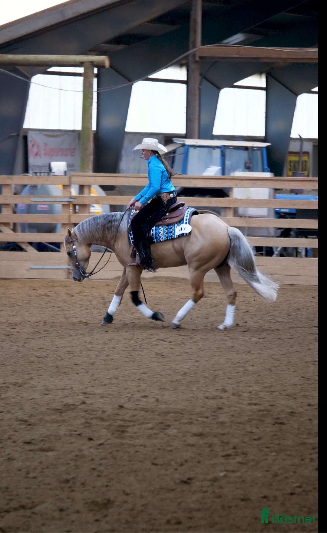 Western hästar till salu: Reining/allround i Nyköping - Annons 3