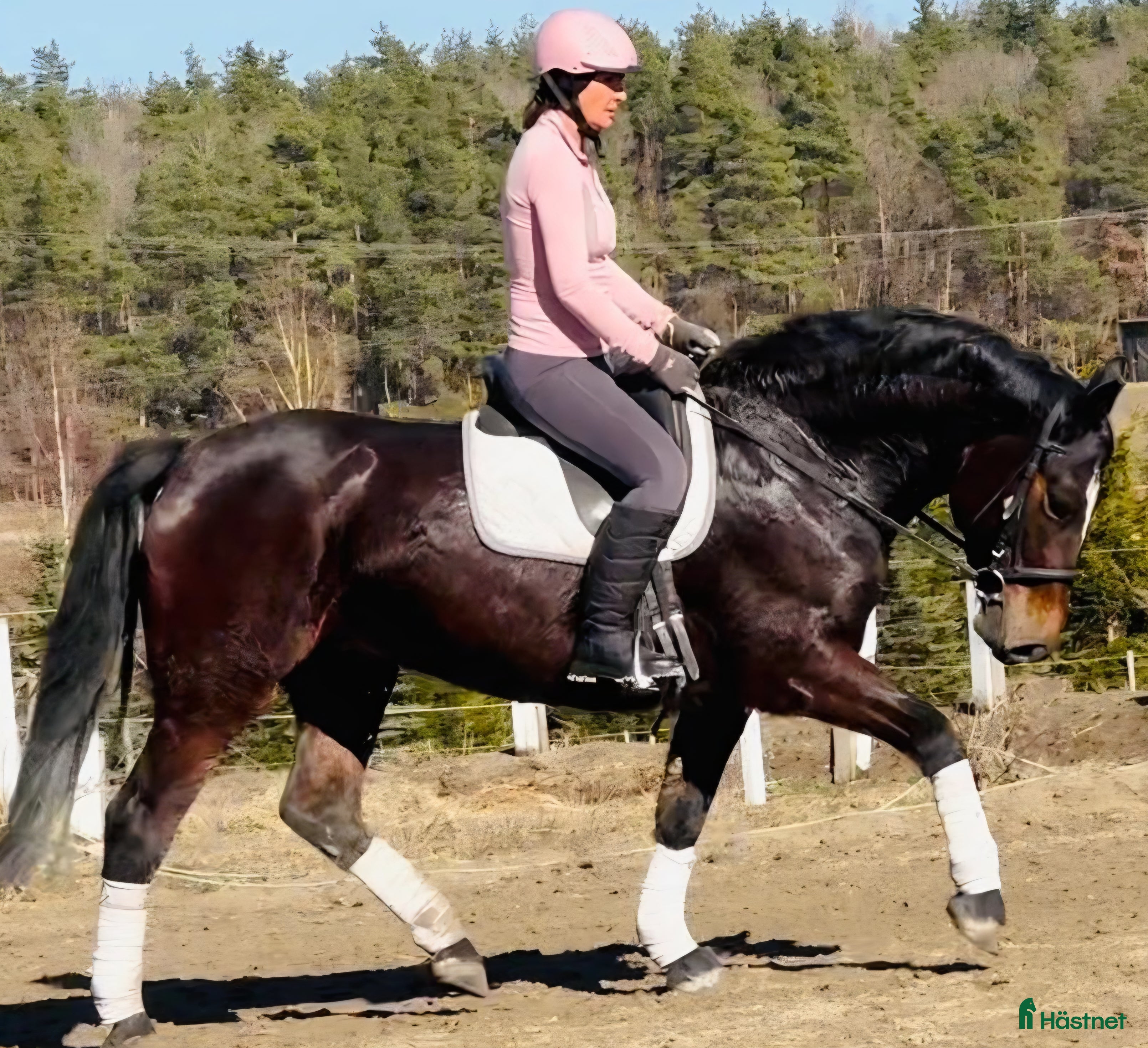  hästar Fantastic Adventure-perfect mother&daughter one - Annons 11