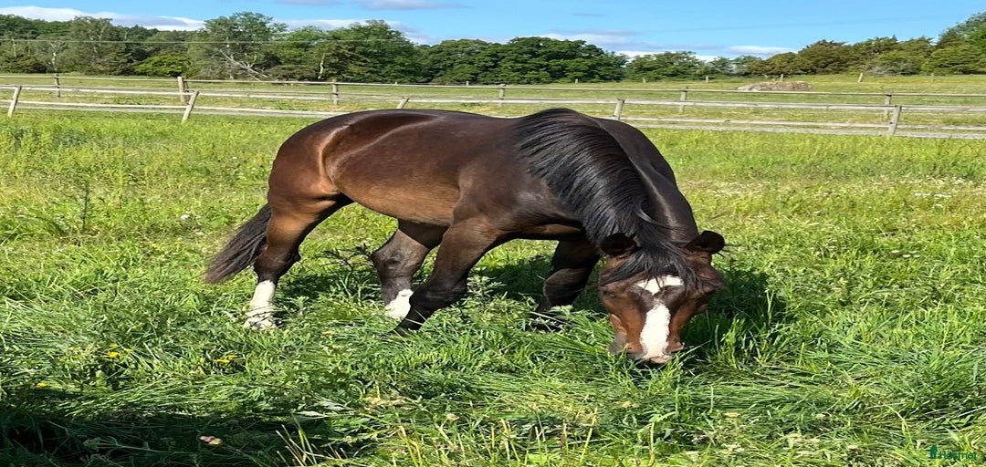 Galleribild {{count}}