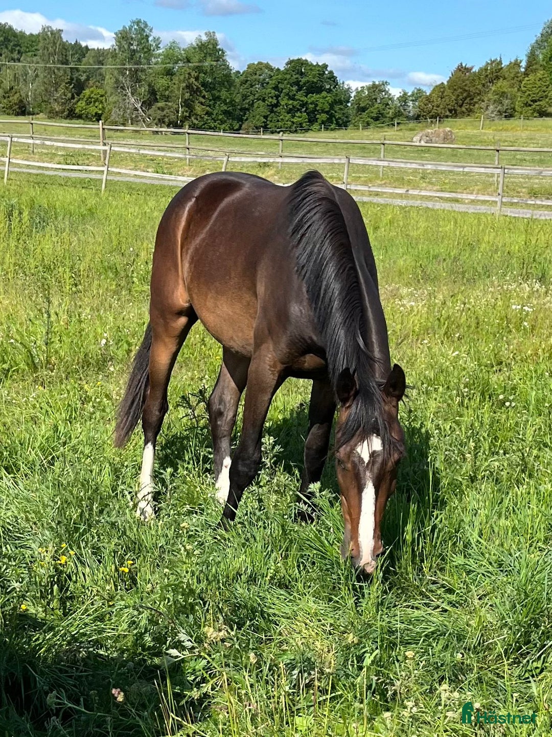 Galleribild {{count}}