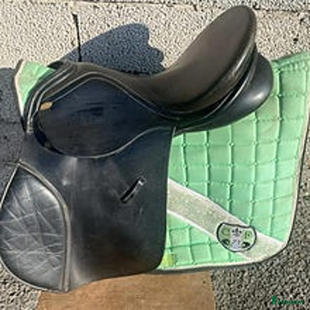 Sadlar hästutrustning till salu: Kentaur Seneca - Annons 1