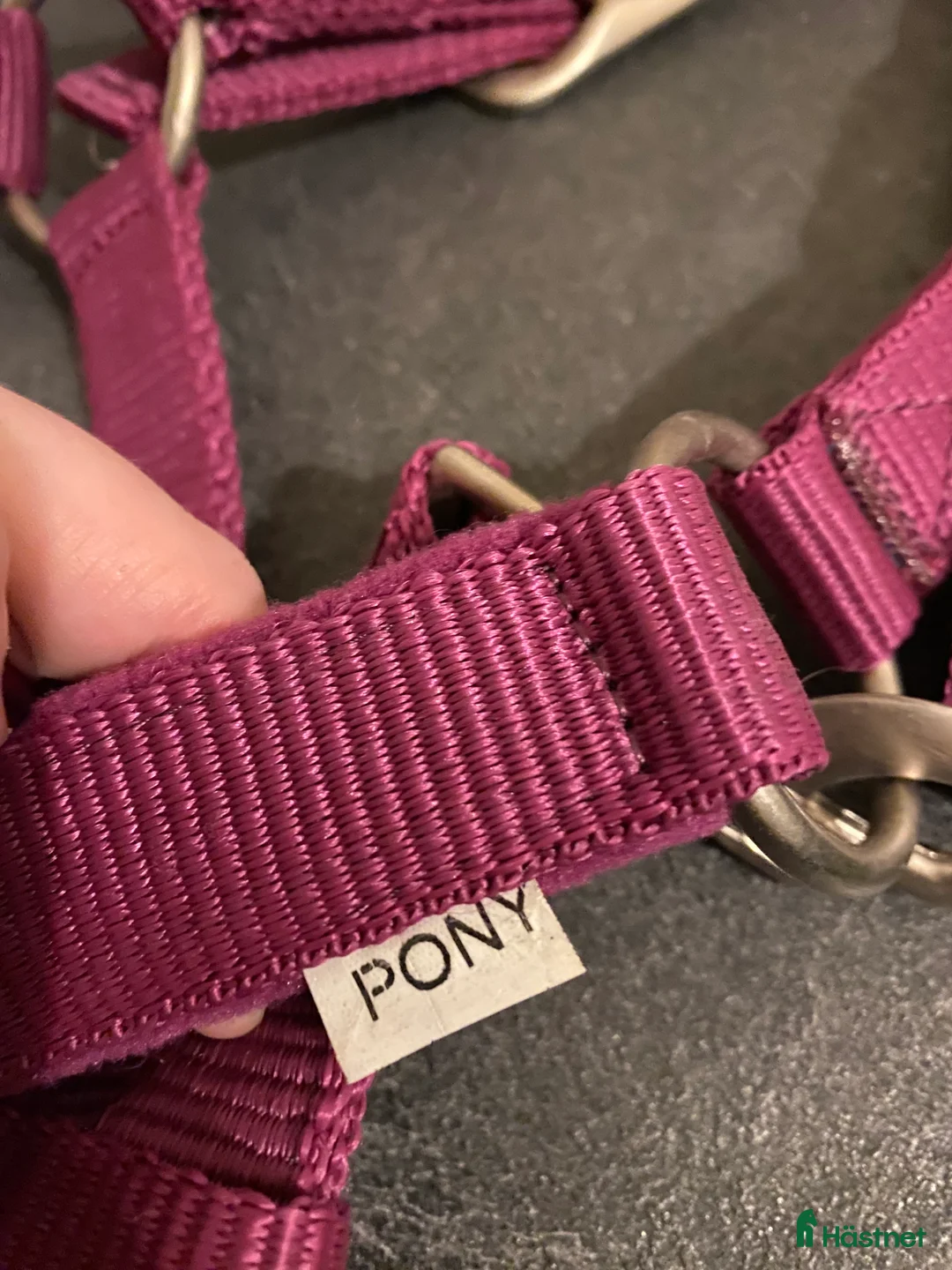 Övrig Hästutrustning hästutrustning till salu: Ny grimma och grimskaft från Fairfield - Annons 3