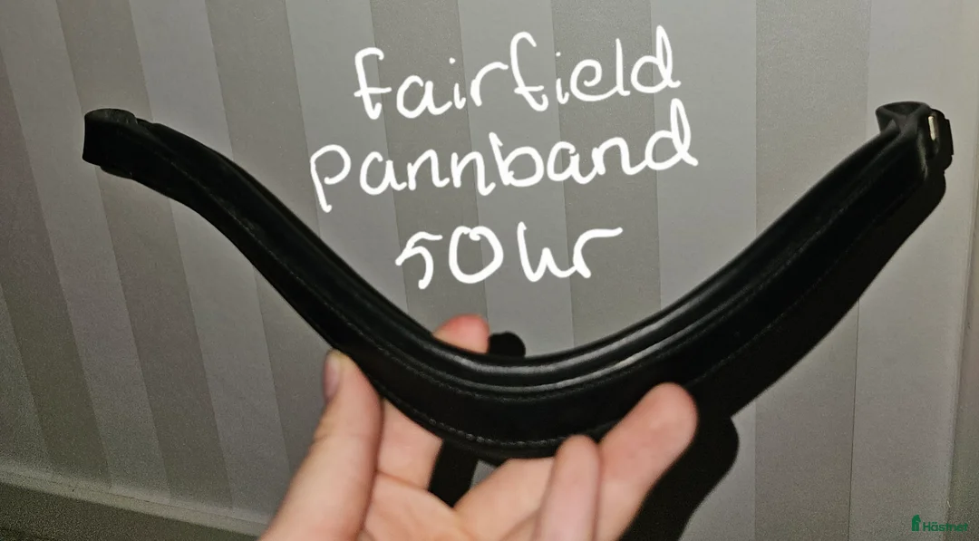 Träns hästutrustning till salu: Tränsdelar i Arvika - Annons 4