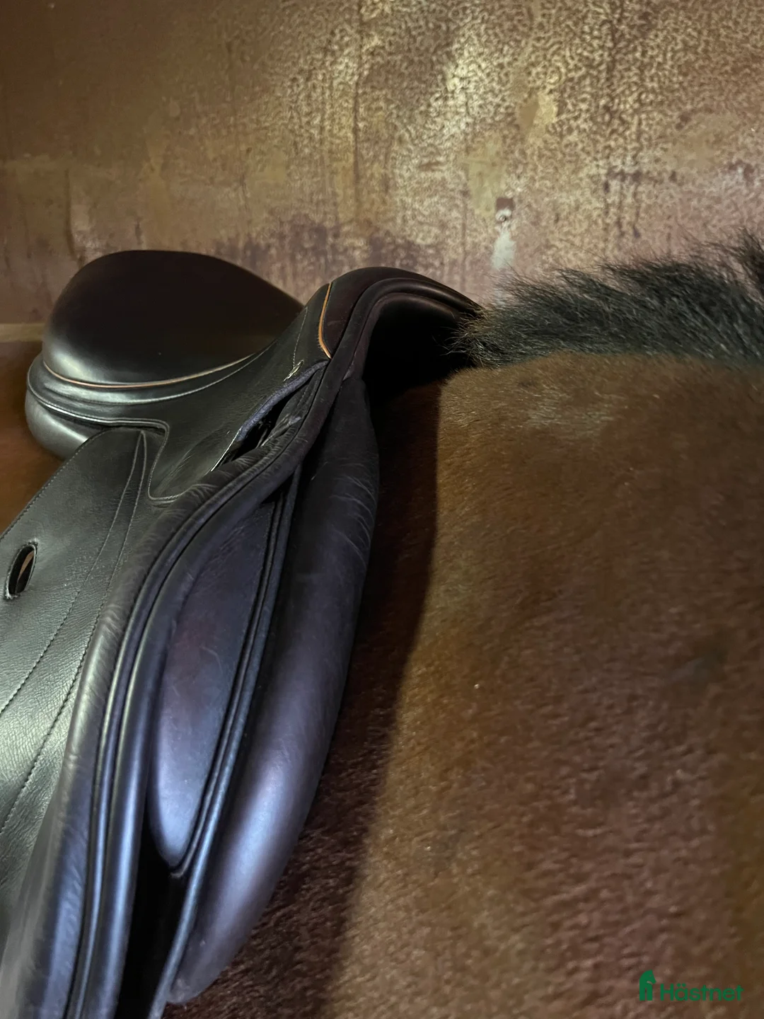 Sadlar hästutrustning till salu: Equipe Expression Special 17 tum  - Annons 6