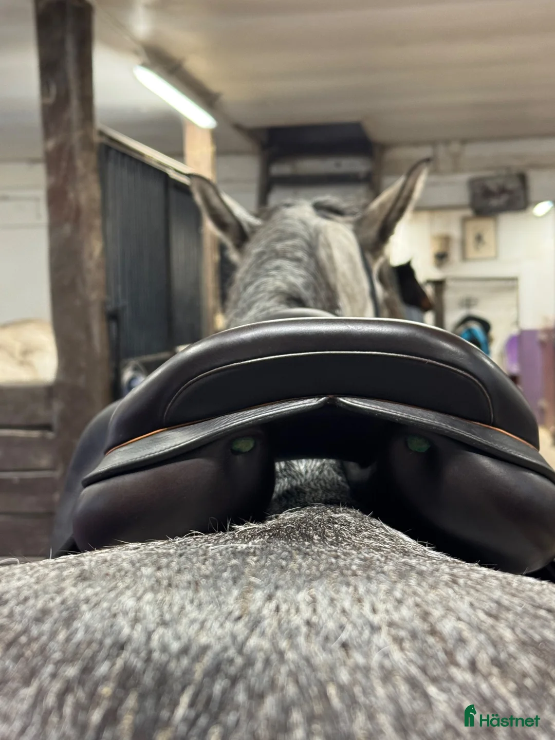 Sadlar hästutrustning till salu: Equipe Expression Special i Drottningholm - Annons 2