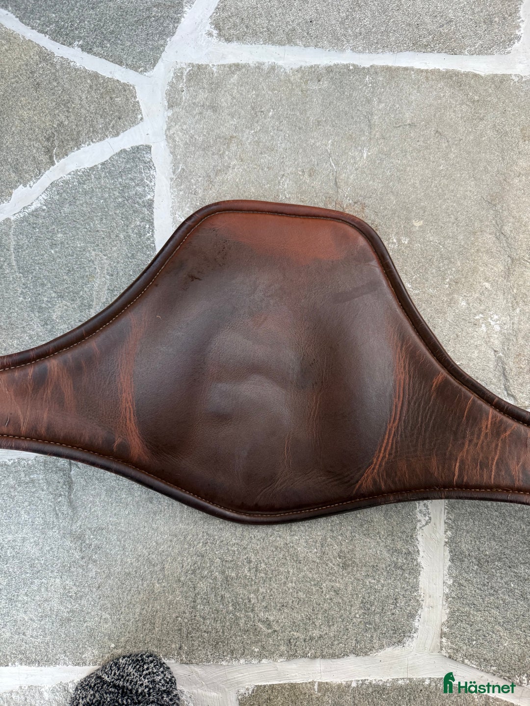 Sadeltillbehör hästutrustning till salu: Magplatta i Drottningholm - Annons 8