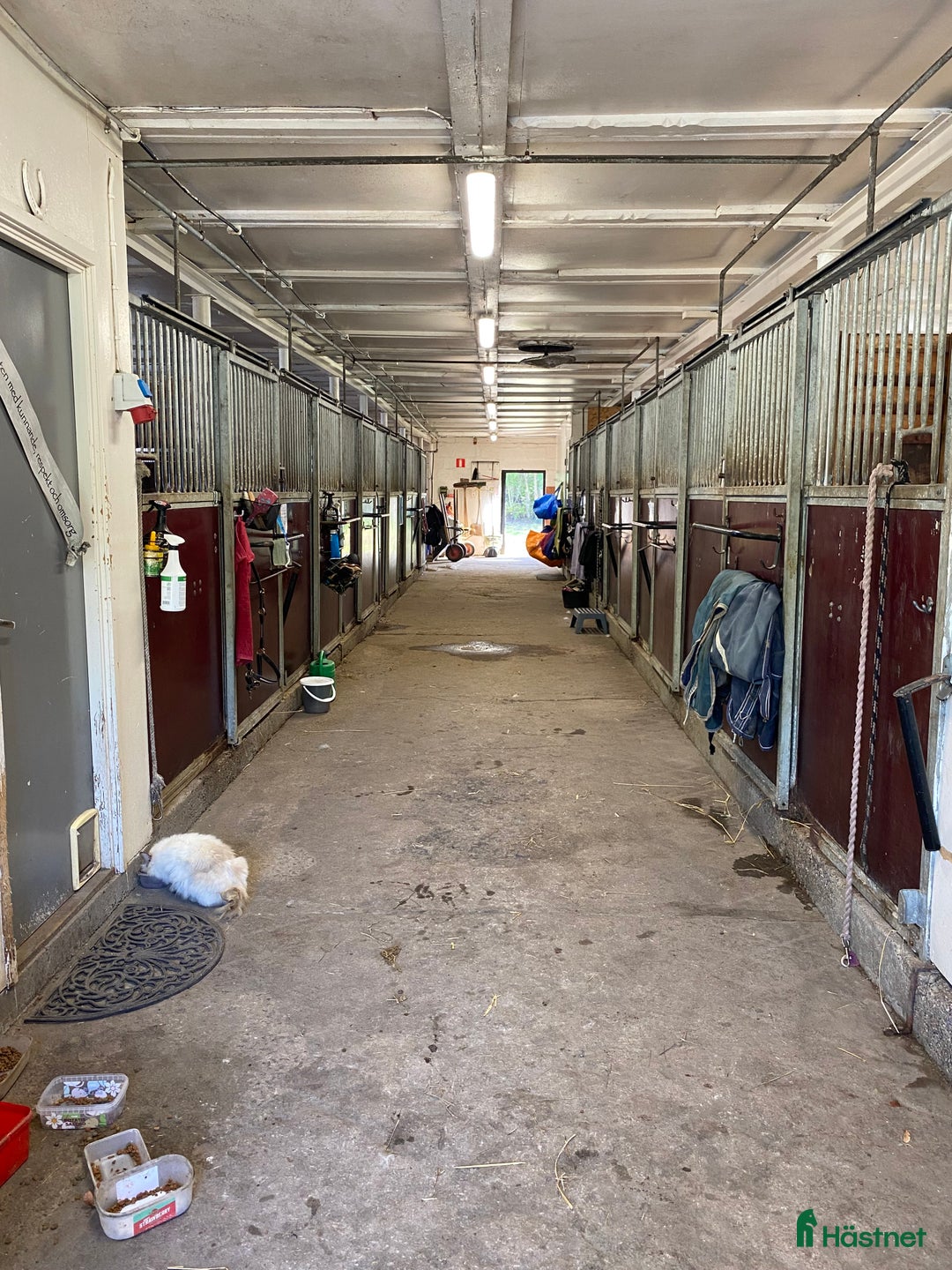  stallplats finnes: Litet stall Söderköping/norrköping  i Norrköping - Annons 3