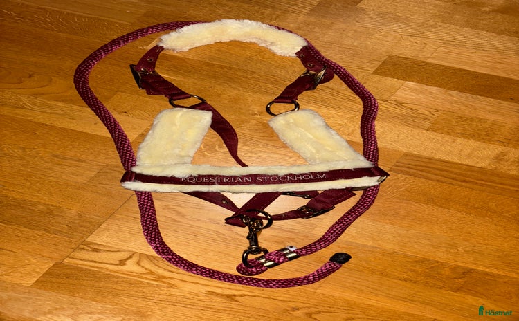 Övrig Hästutrustning hästutrustning till salu i Karlskrona - Annons 16