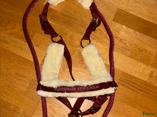 Övrig Hästutrustning hästutrustning till salu: Grimma och grimskaft från Equestrian Stockholm i Karlskrona - Annons 2