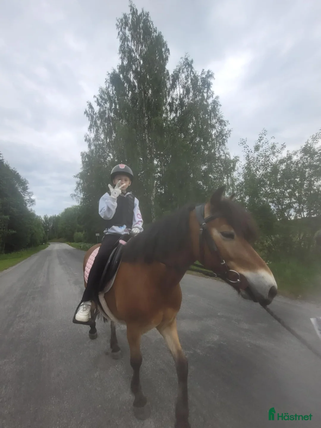 Allround hästar till salu: barnponny utöver det vanliga i Sandarne - Annons 5