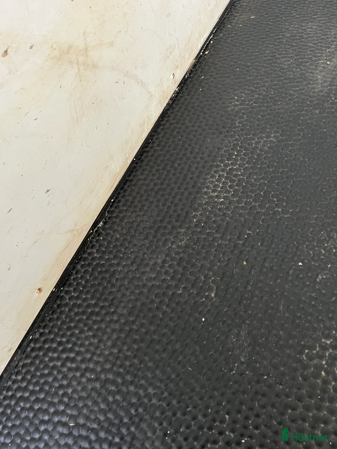 Hästtransporter  fordon & transport till salu: Atec Starline -14 i Höör - Annons 7