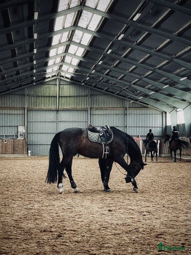  hästjobb Söker Extrajobb — Sommarjobb - Annons 21