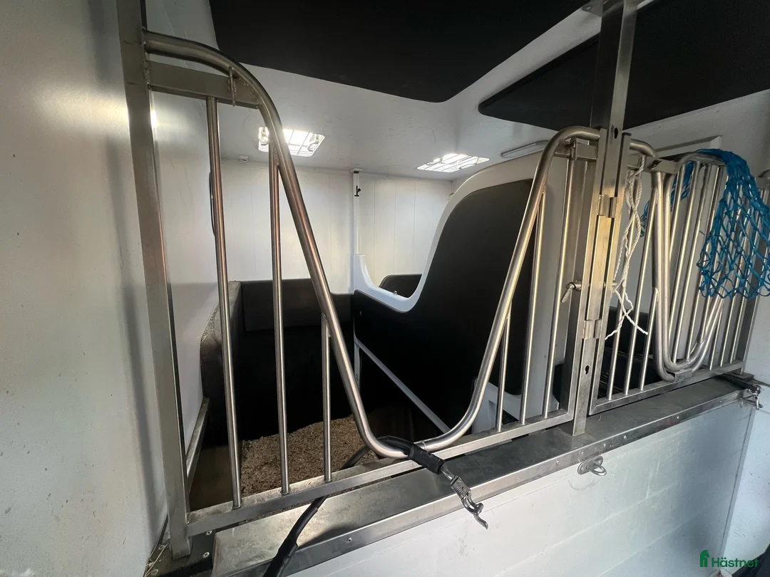 Hästlastbilar  fordon & transport till salu: B-korts Hästlastbil 5 sits - Annons 4