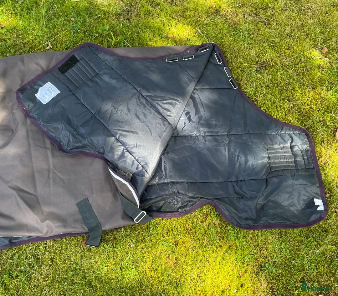 Täcken hästutrustning till salu: Amigo Bravo 250g i Alingsås - Annons 2