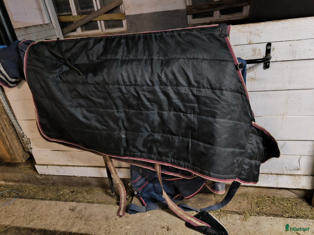 Täcken hästutrustning till salu: Regntäcke med liner  i Åmotsbruk - Annons 2