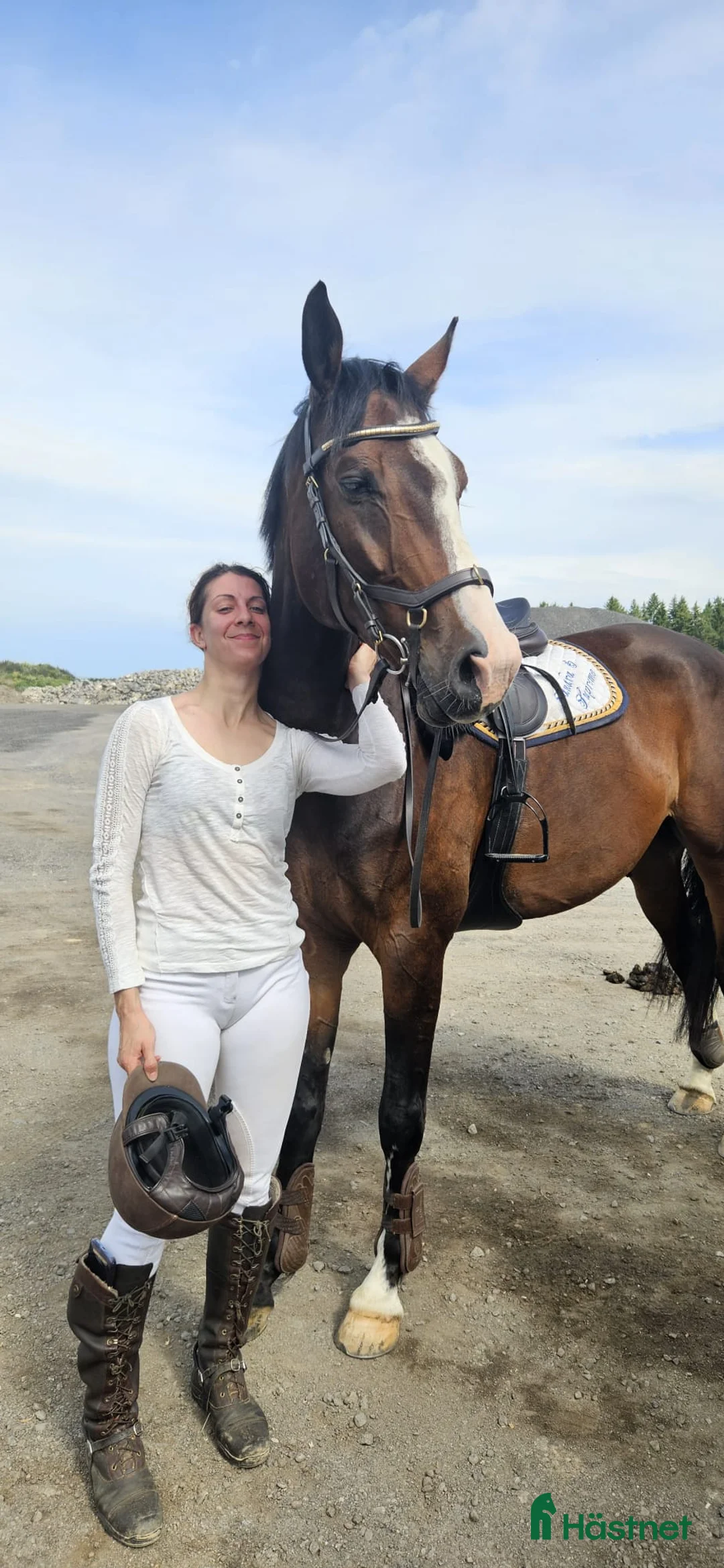  medryttarhäst finnes: Erfaren medryttare till häftig Swb hopp/dressyr i Västerhaninge - Annons 15