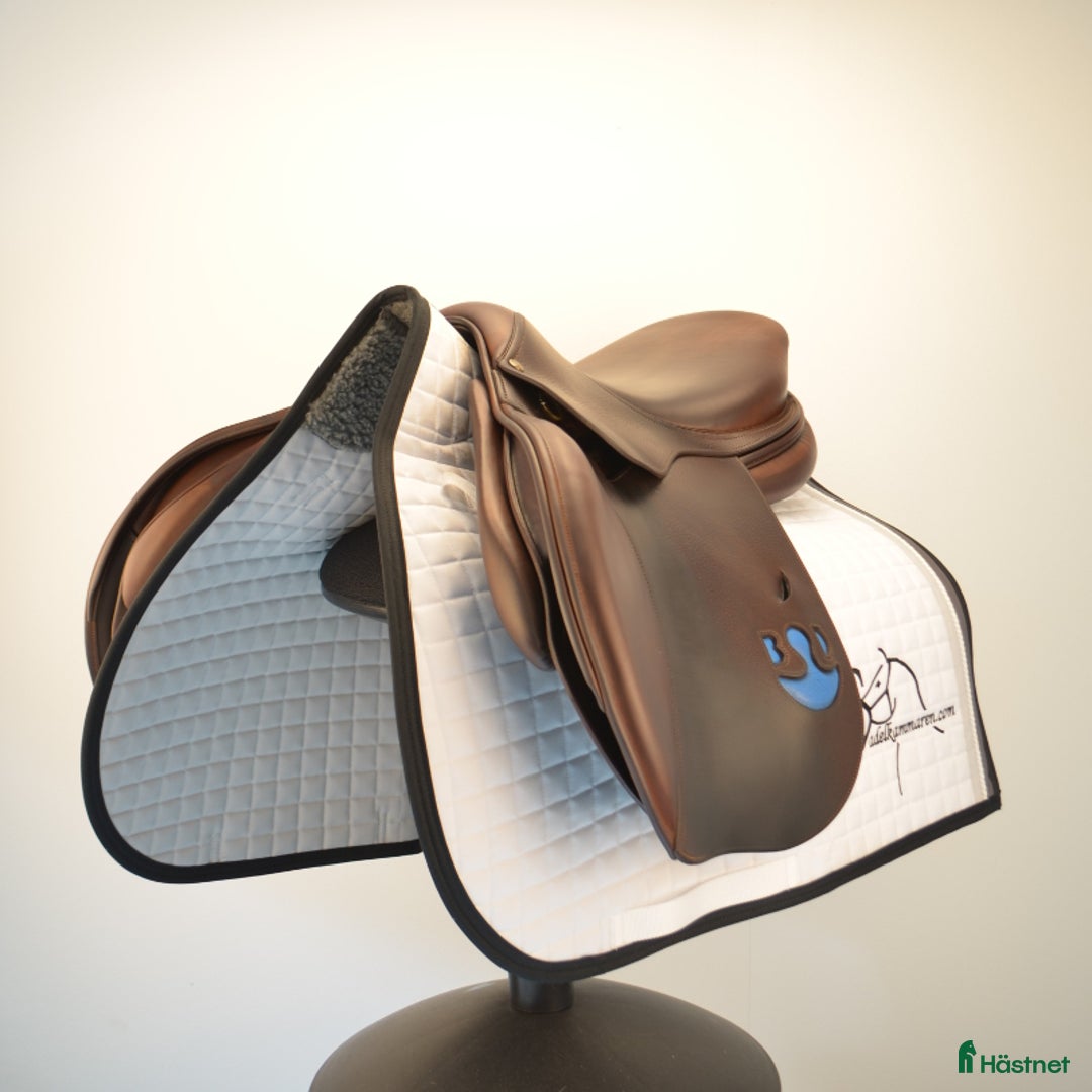 Sadlar hästutrustning till salu: Bruno Delgrange Partition i Sparsör - Annons 3