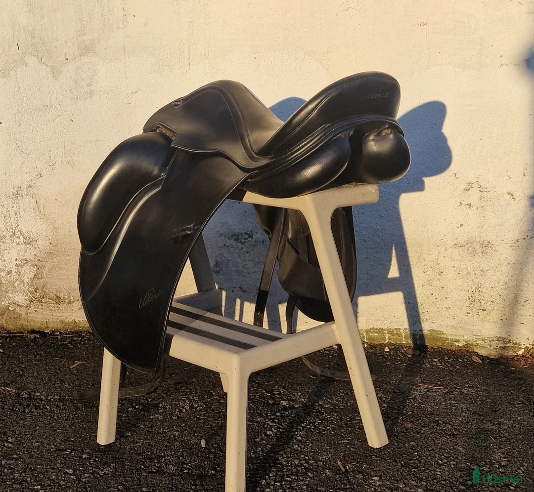 Sadlar hästutrustning till salu: Erreplus Vittoria i Matfors - Annons 6