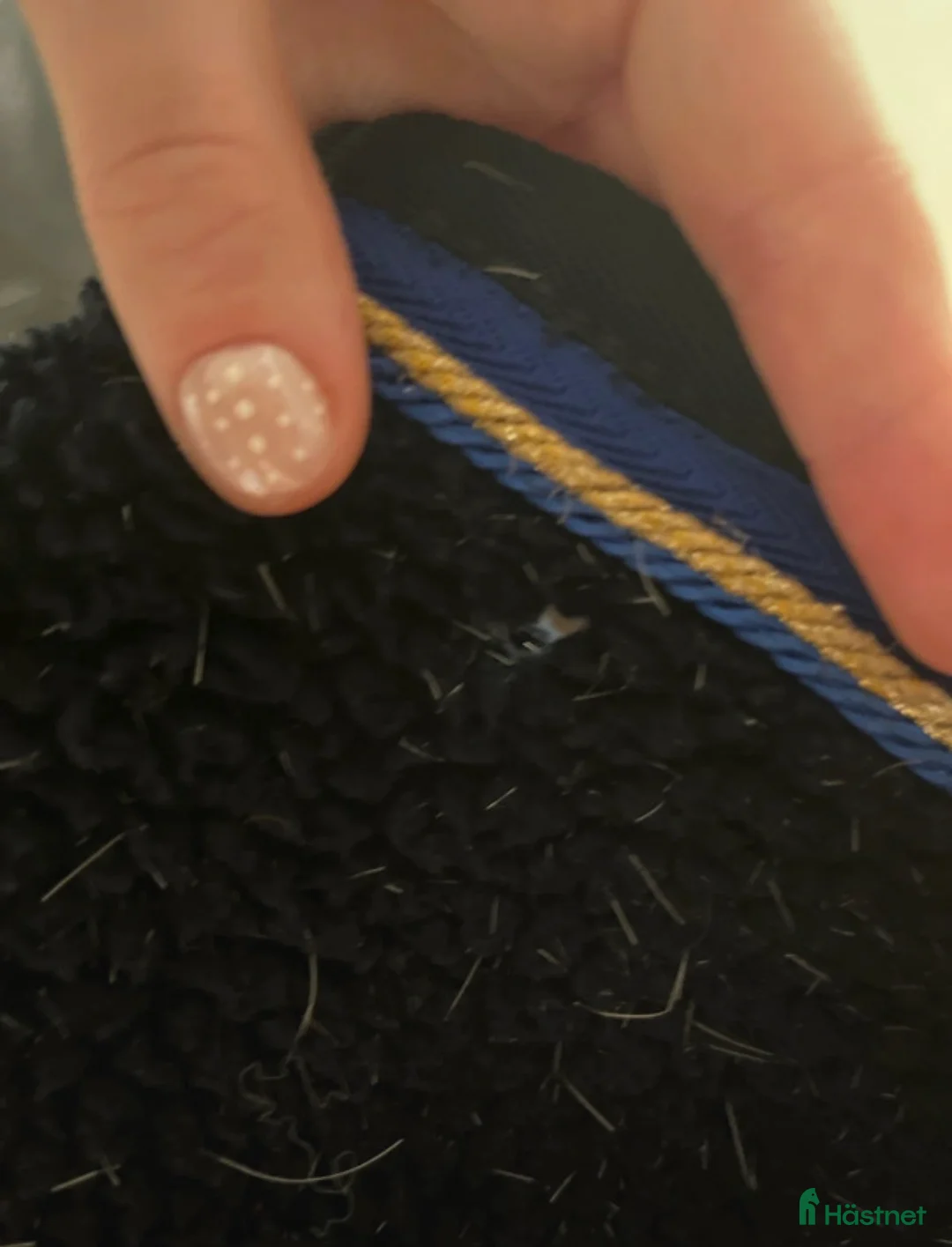 Täcken hästutrustning till salu: Fint ländtäcke - Annons 5