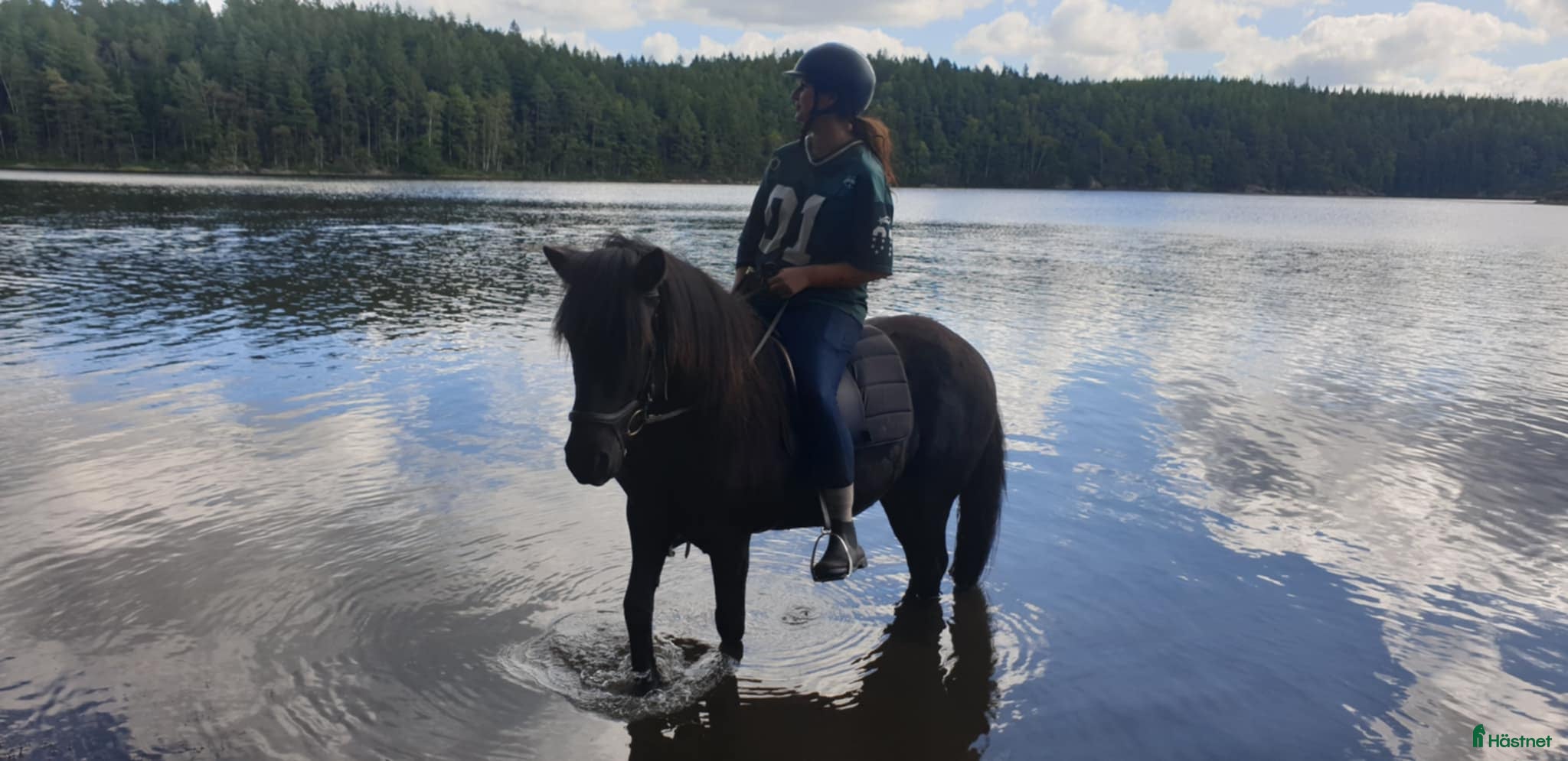  hästar Skogsmulle!  - Annons 5