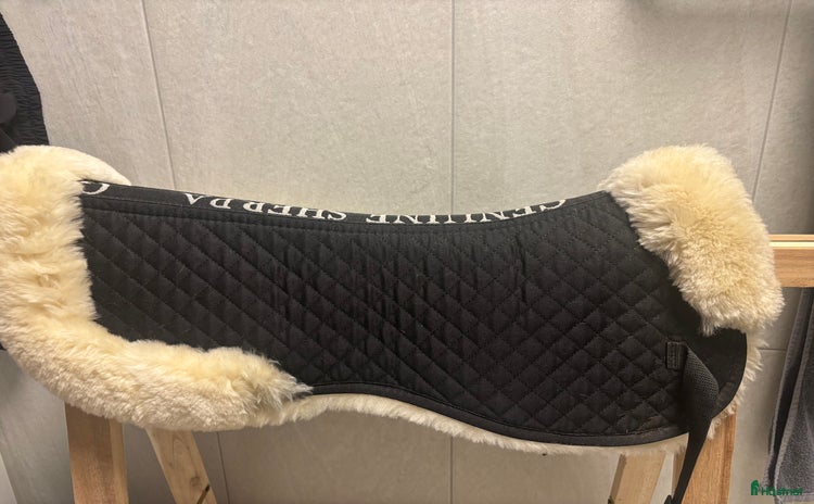 Sadeltillbehör hästutrustning till salu i Landskrona - Annons 6