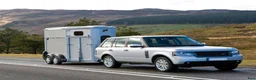 Hästtransporter  fordon & transport till salu: Ny - HB403 - Annons 4