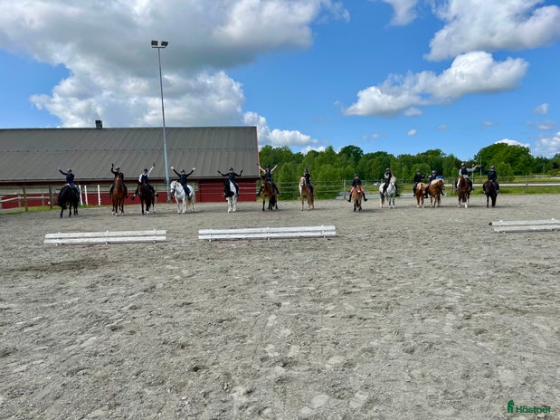foderhäst i Örby - Annons 15