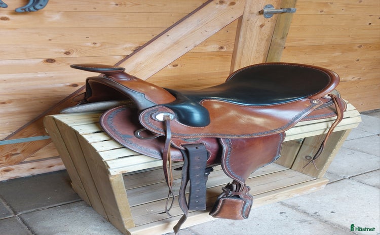 Sadlar hästutrustning till salu i Glanshammar - Annons 9