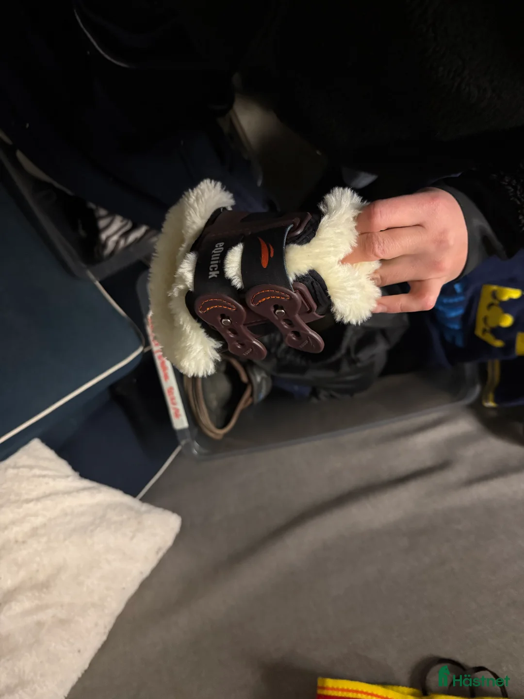 Benskydd hästutrustning till salu: Bakbenskydd av olika märken  - Annons 2