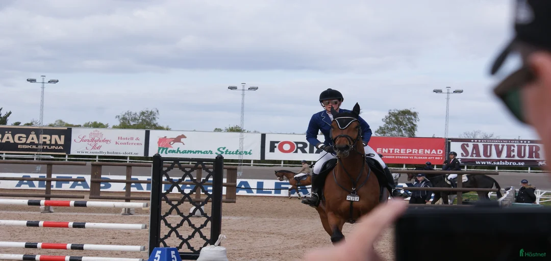 Galleribild {{count}}