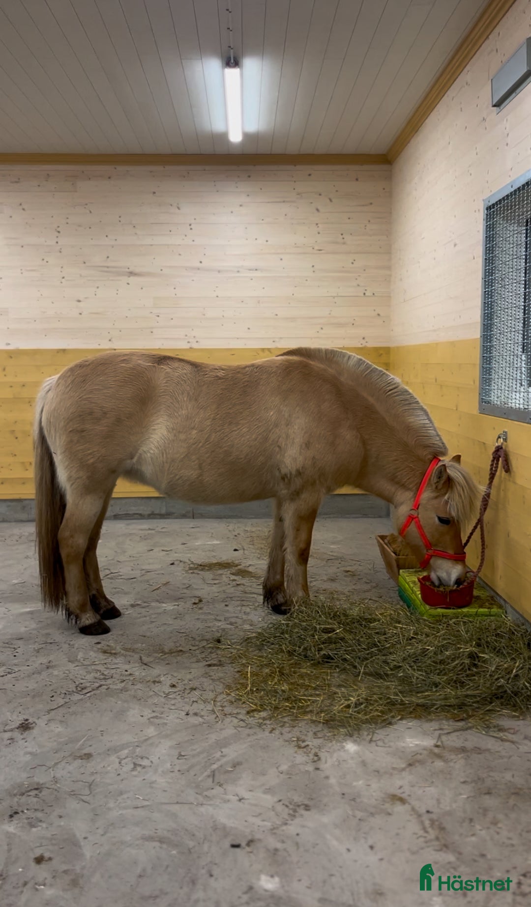  stallplats finnes: Lösdrift Tenhult i Tenhult - Annons 3