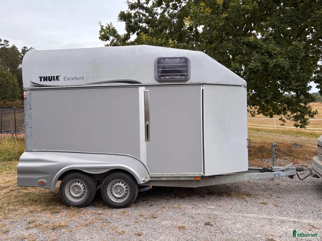 Hästtransporter  fordon & transport till salu: Rymlig ponny transport  - Annons 1