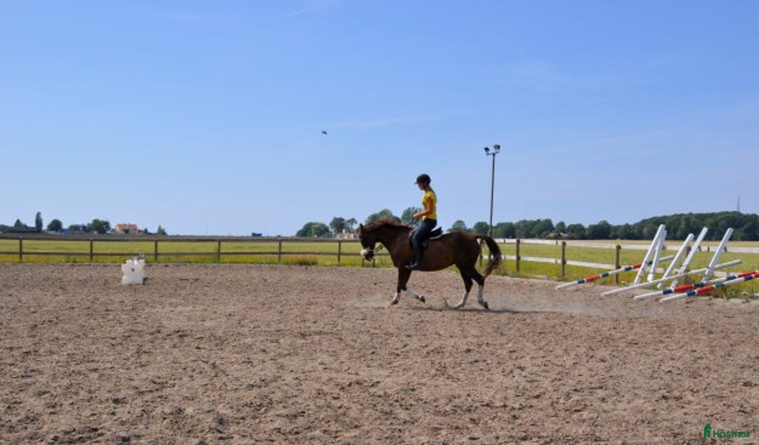  stallplats finnes: Charmig lägenhet med havsutsikt med boxplats  i Bjärred - Annons 5