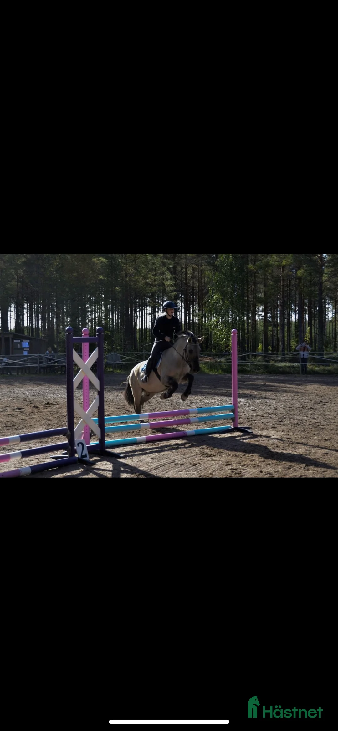 Allround hästar till salu: En bästavän i Valbo - Annons 5