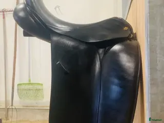 Sadlar hästutrustning Arthur Kottas “Vienna - Annons 16