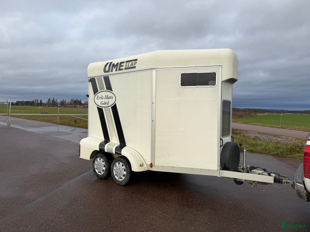 Hästtransporter  fordon & transport till salu: UME B35 -05 i Borlänge - Annons 2