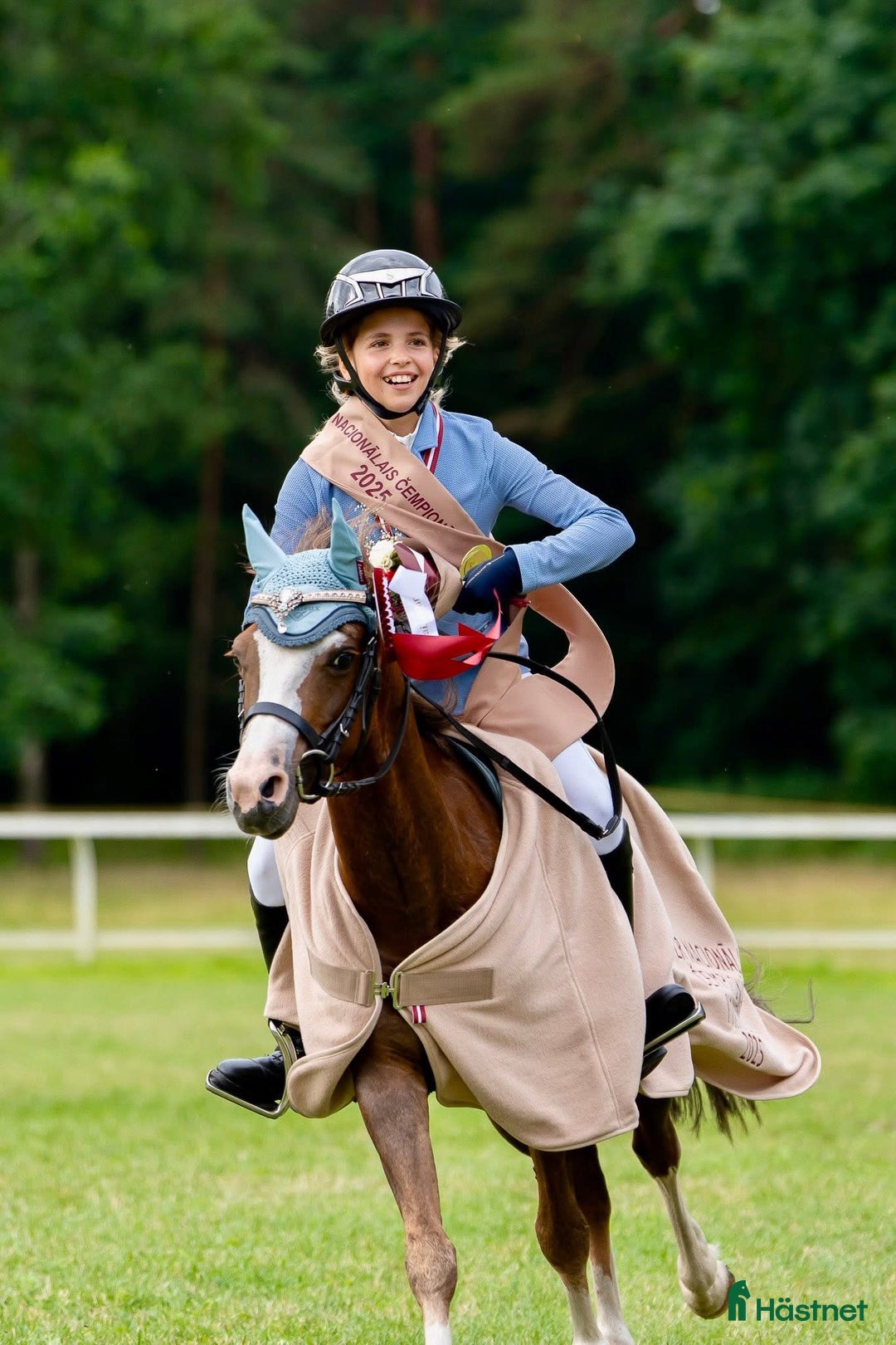 Galopp hästar till salu: Pony showjumping i Bräkne-Hoby - Annons 7