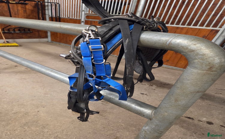 Körselar körning till salu: Sele med QH fästen till shettis  i Mariestad - Annons 1