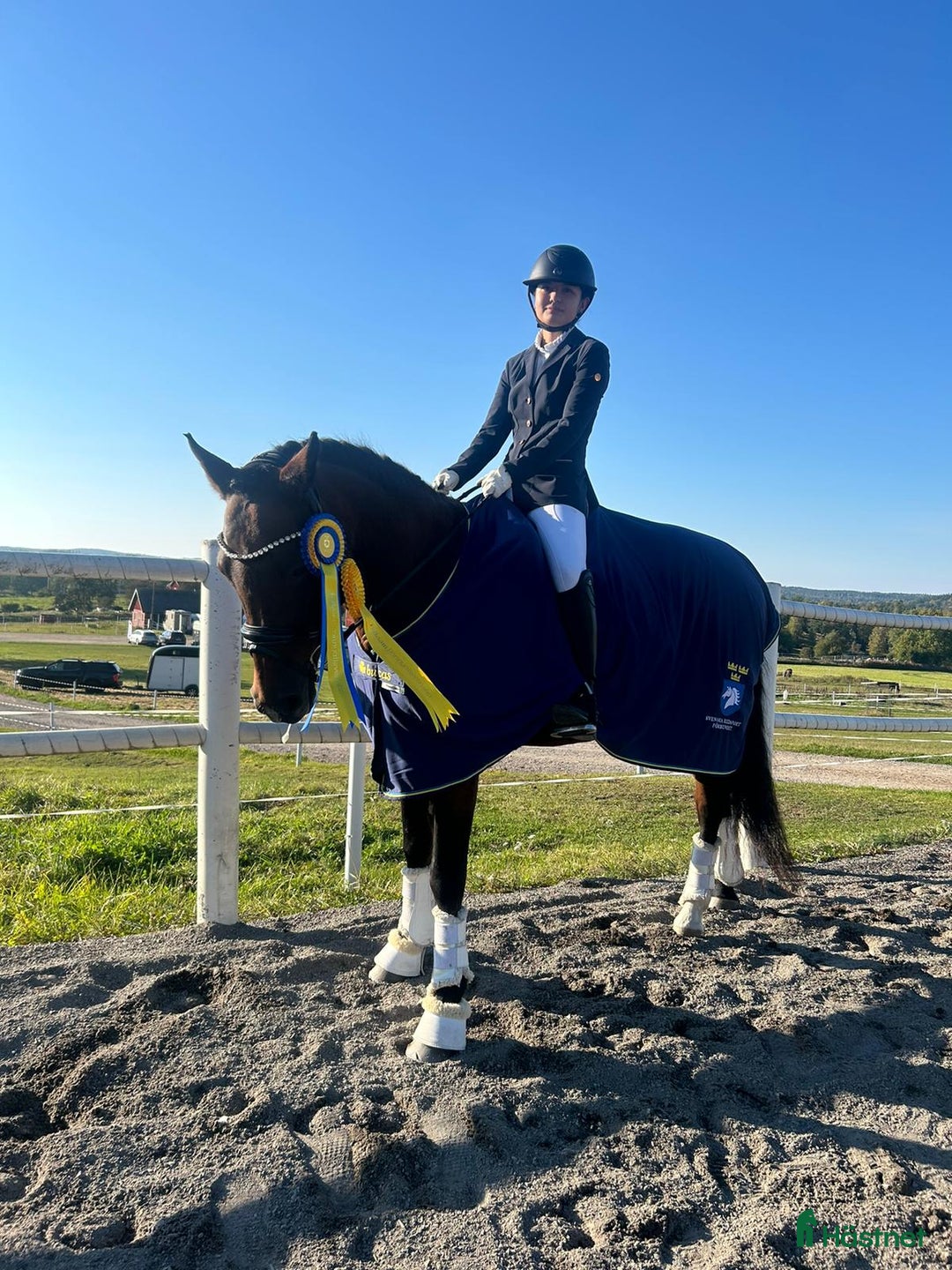 Dressyr hästar till salu: Fin läromästare till salu i Arvika - Annons 2