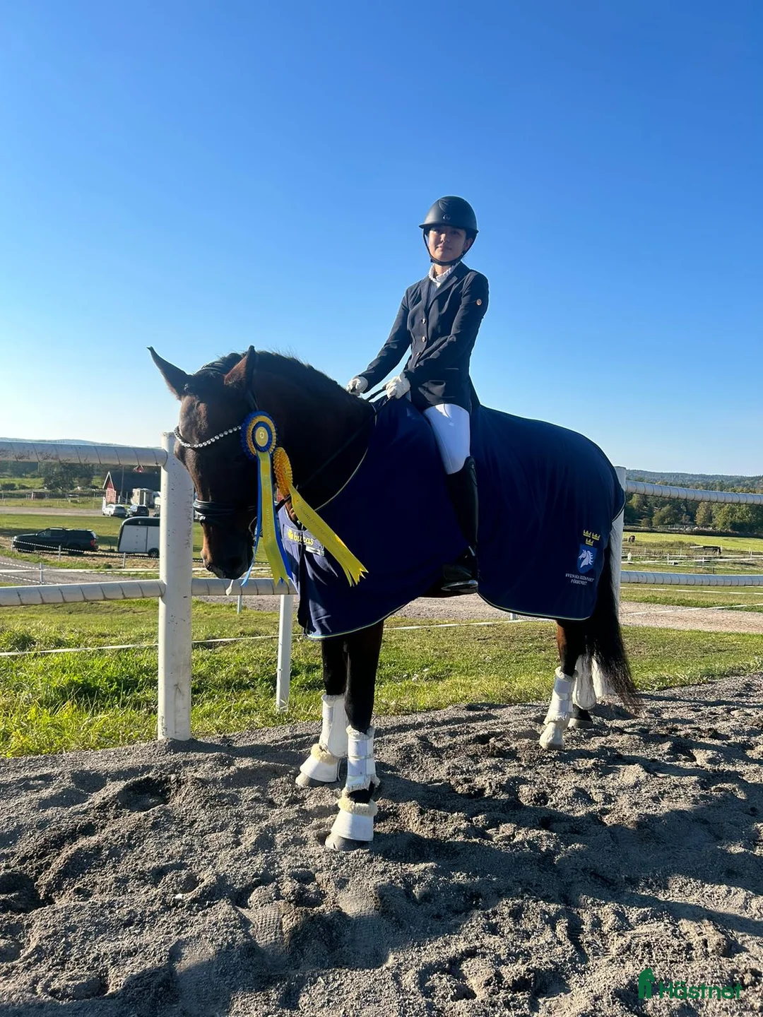 Dressyr hästar till salu: Fin läromästare till salu i Arvika - Annons 2