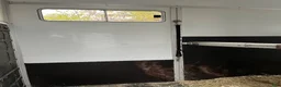 Hästtransporter  fordon & transport till salu: Umesläp B50 - Annons 5