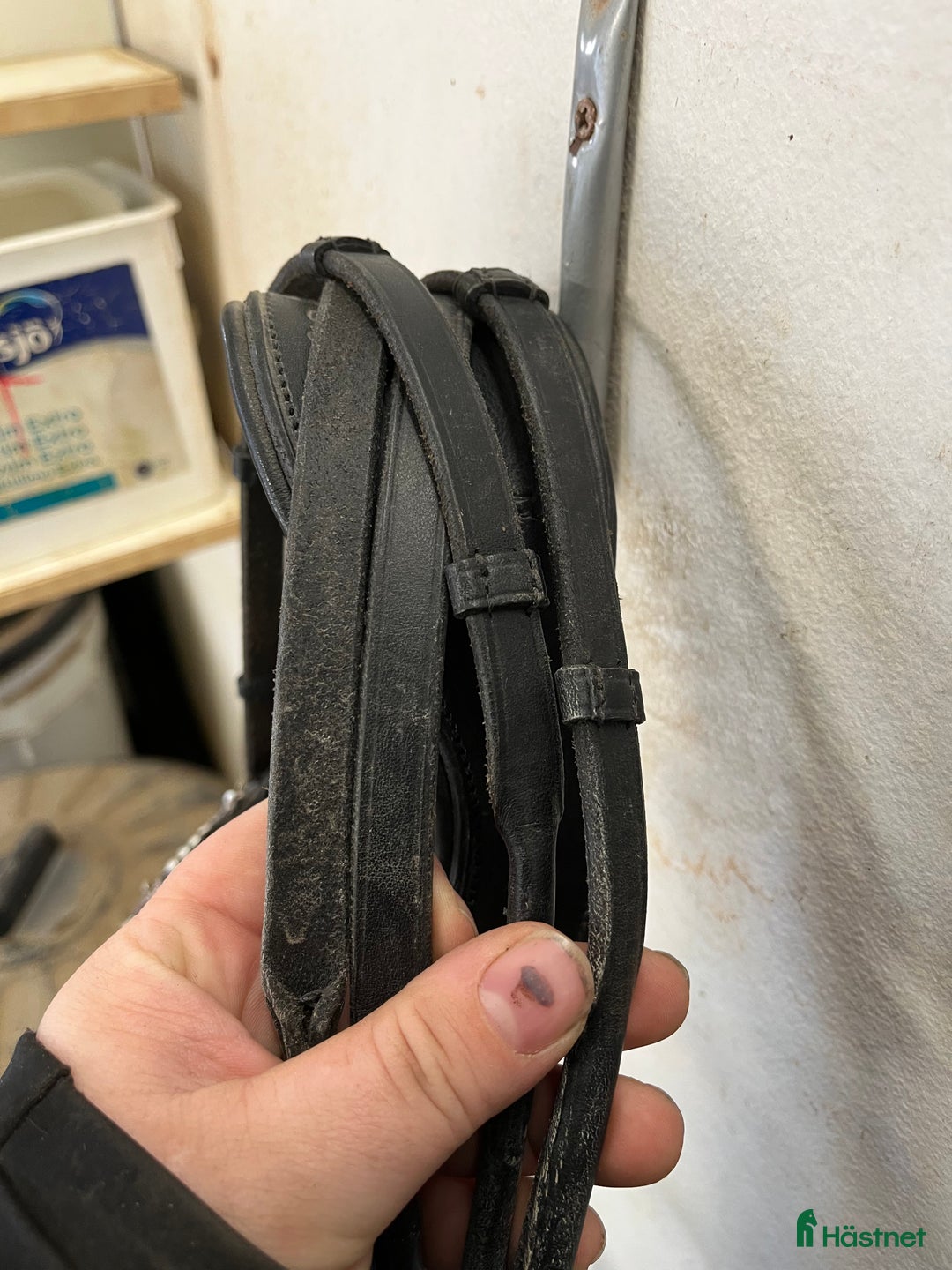 Träns hästutrustning till salu: Kandar  i Skellefteå - Annons 6