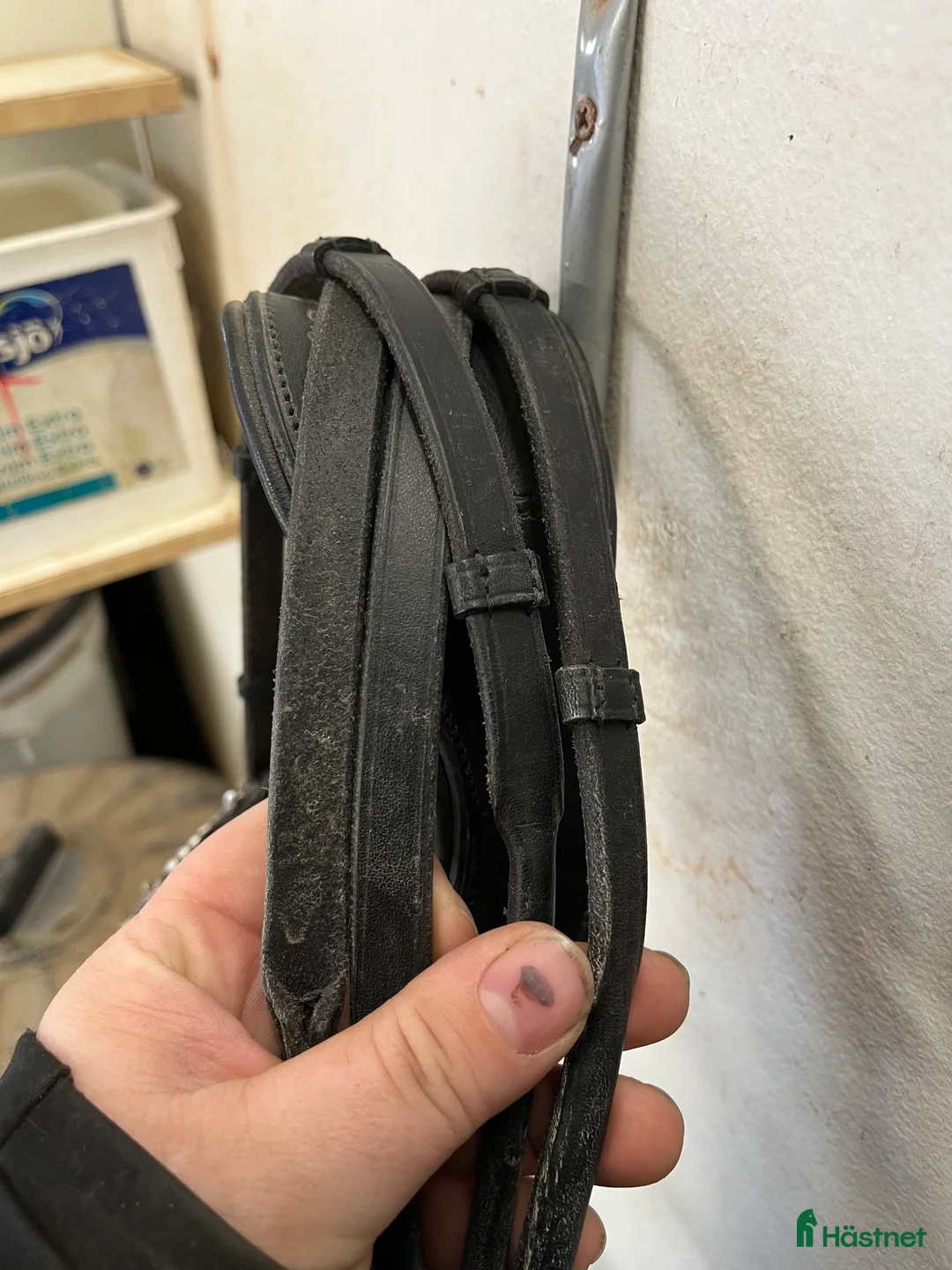 Träns hästutrustning till salu: Kandar  i Skellefteå - Annons 6