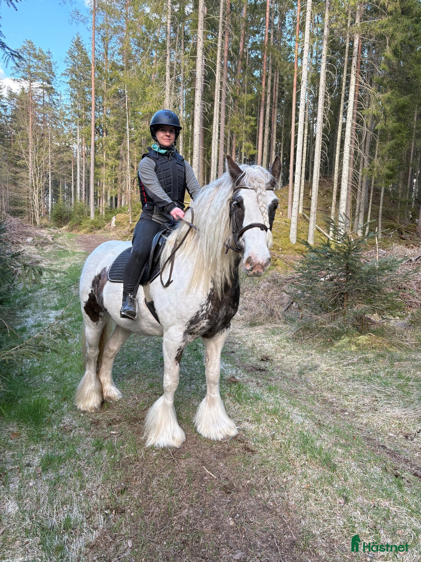  hästar Fint litet sto på 9år - Annons 10