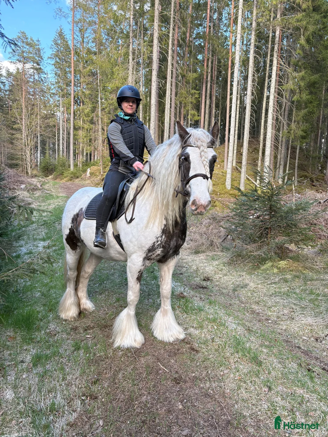 Allround hästar till salu: Fint litet sto på 9år - Annons 1