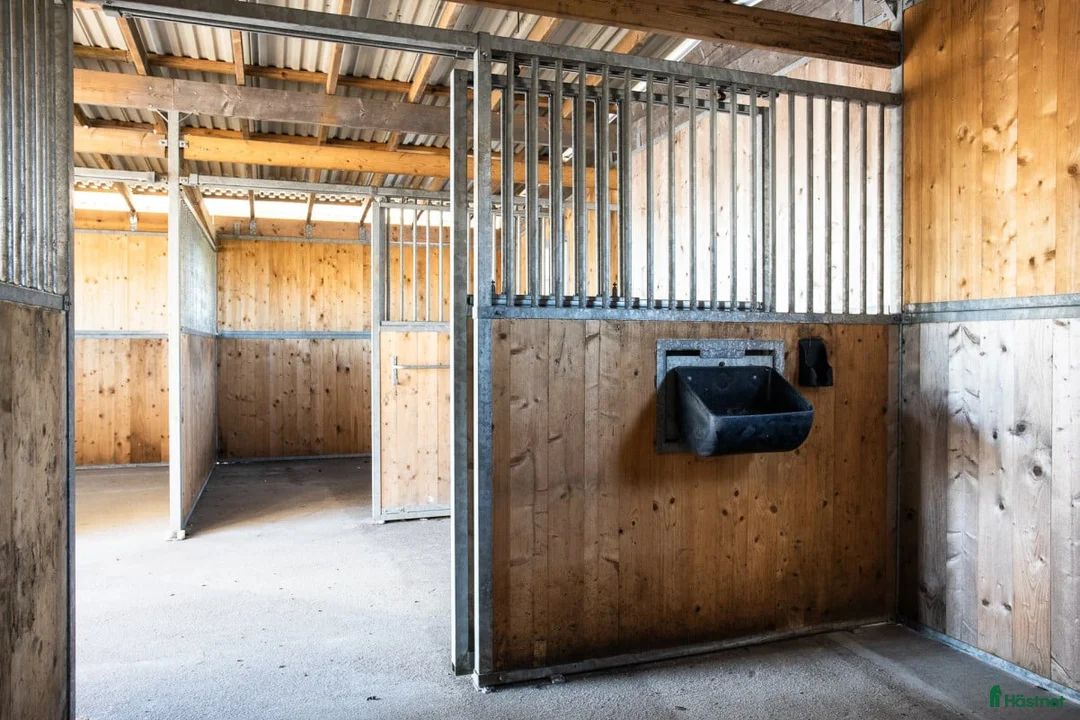 Stallinredning, stängsel & gård övrig utrustning till salu: Ute-boxen stall 4 boxar. Nyskick, bättre begagnat. i Kattarp - Annons 2