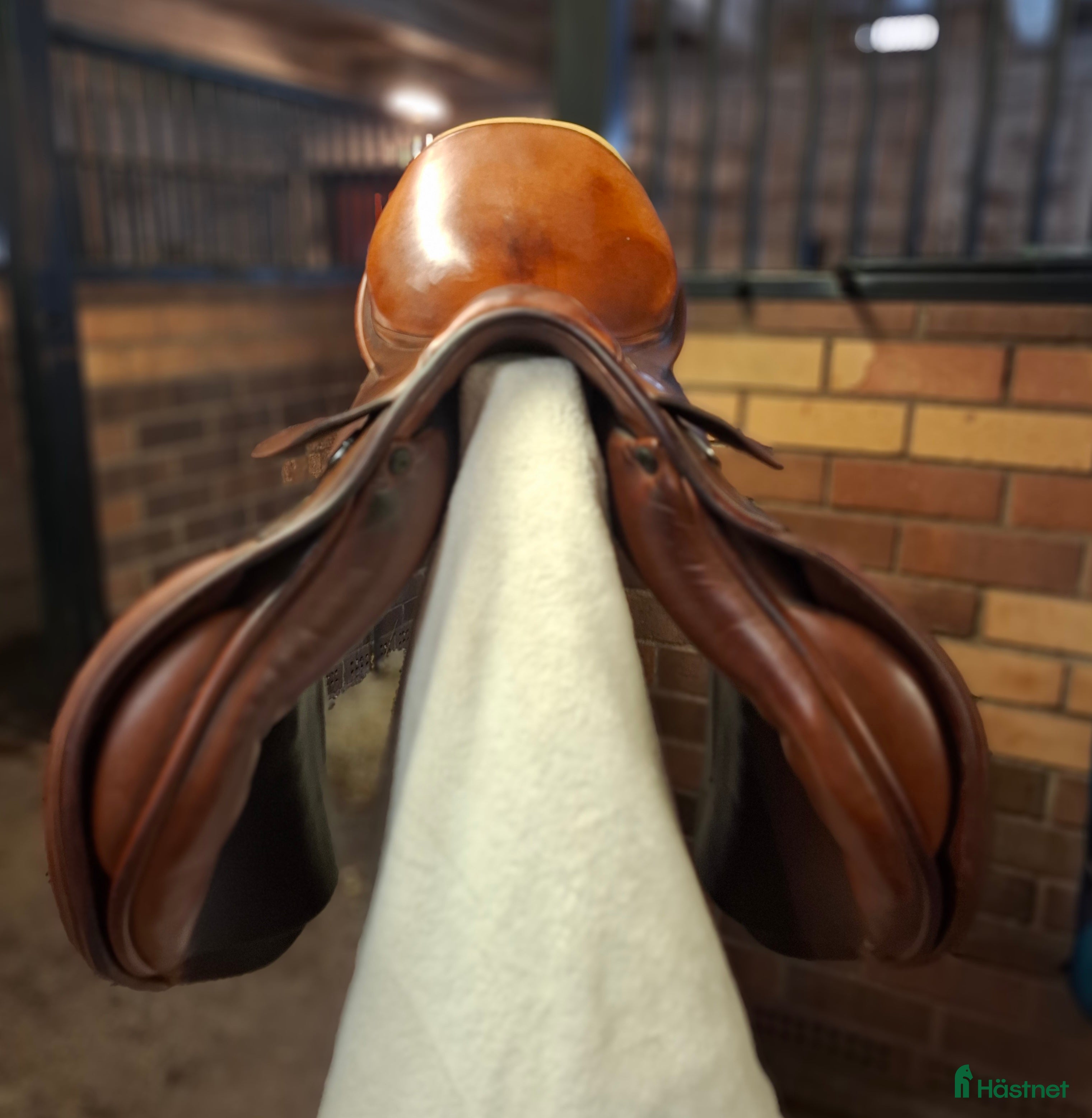 Sadlar hästutrustning Prestige Sidney - Annons 2