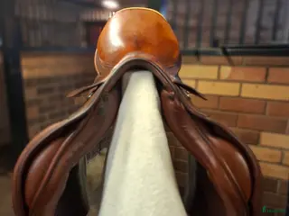 Sadlar hästutrustning Prestige Sidney - Annons 2