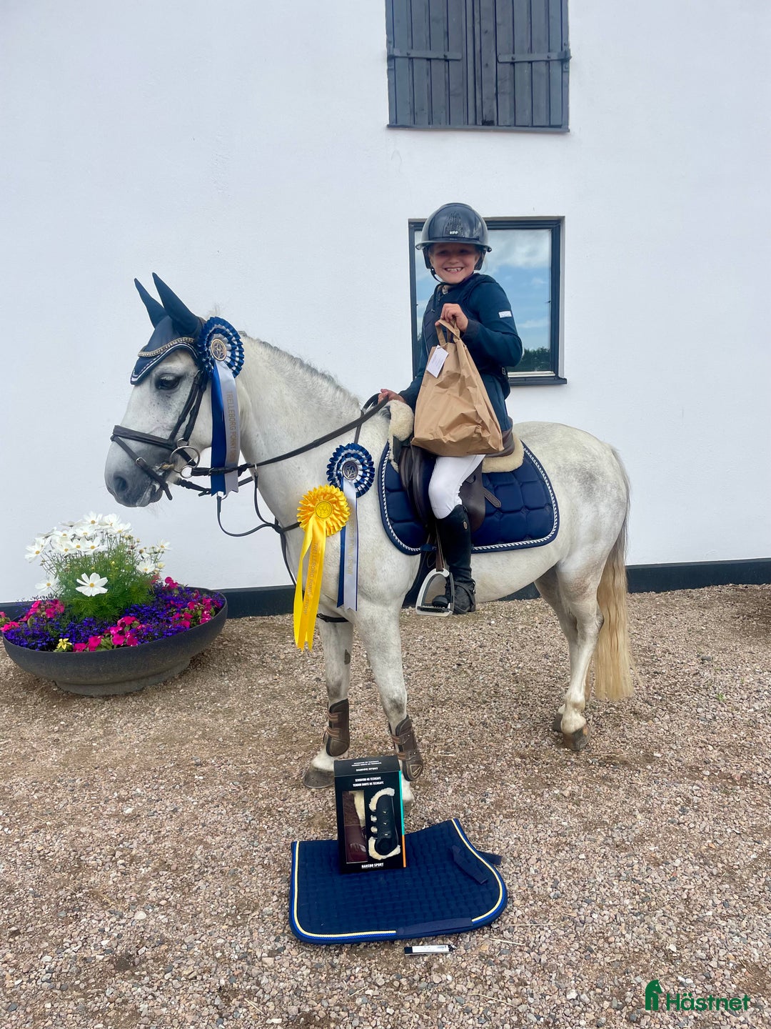 Hoppning hästar till salu: Kvalitetsponny  i Vellinge - Annons 5